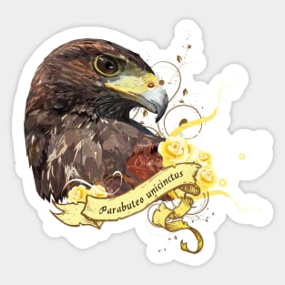 harris hawk Sticker